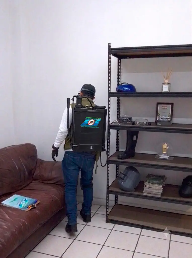 Tratamientos preventivos